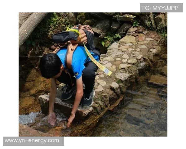 探索绿野户外网站的无限可能，开启你的自然探险之旅与精彩活动分享