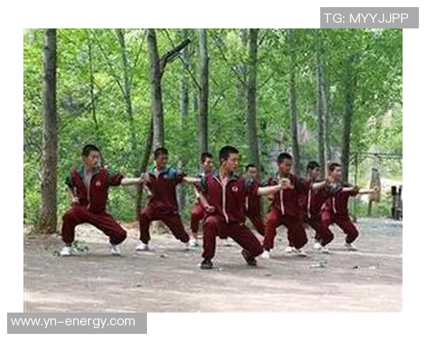 少林文武学校传承千年武艺与文化的精神殿堂 少林文武学校传承千年武艺与文化的精神殿堂