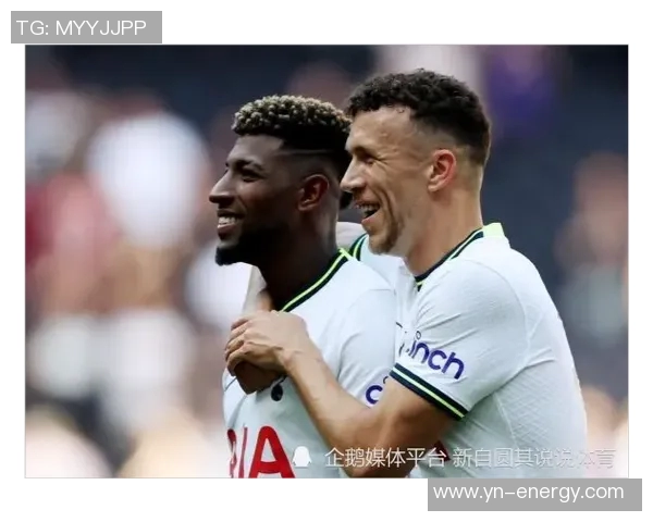 热刺与埃弗顿精彩对决回放全程回顾与赛后分析